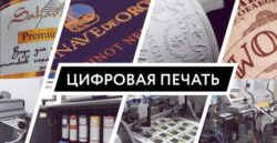 Эко-тренды в упаковке косметики: экологичные этикетки и материалы